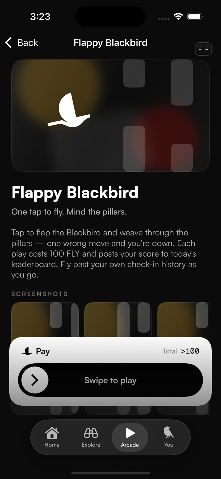 Flappy Blackbird in the Flytown Arcade